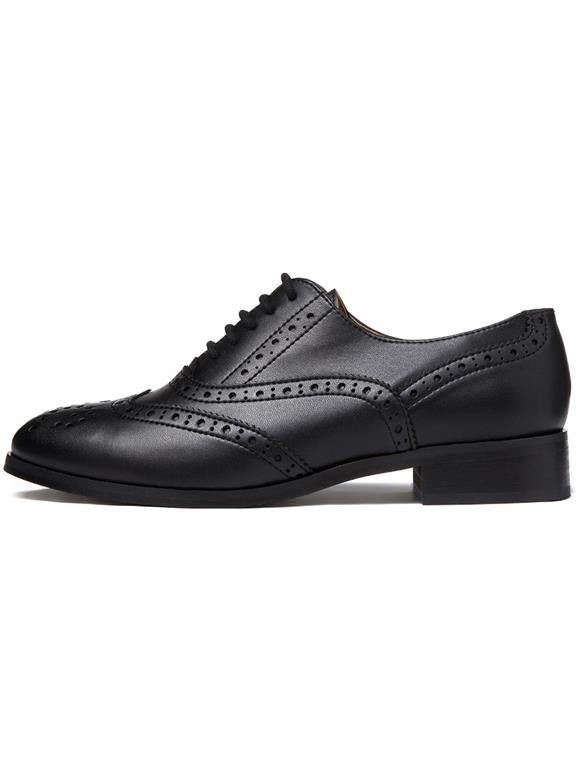  Oxford Brogues Navy Blue