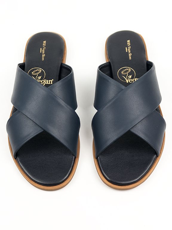  Slides Blue