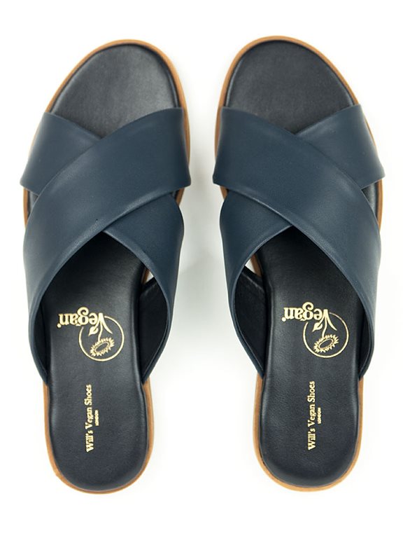  Slides Blue
